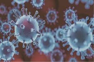 coronavirus update kota recorded 178 fresh covid 19 positive cases