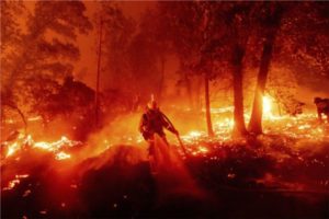 23 deaths in US forest fire