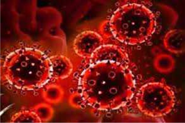 coronavirus update india recorded 20346 fresh covid-19 positive cases in 24 hours