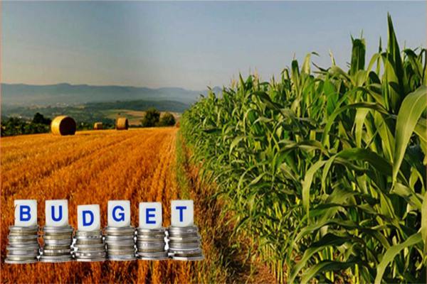 Proposal to increase credit limit in agriculture in budget