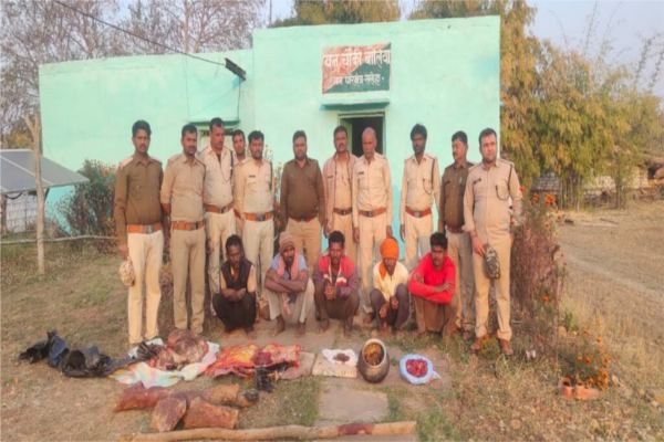 Five accused arrested for hunting sambar in Madhya Pradesh