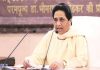 BSP will contest the assembly elections alone in Uttar Pradesh