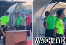 मिस्र : मोबाइल पर देखकर गोल रद्द करने वाला रेफरी निलंबित