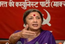 लोकसभा चुनाव में भाजपा को लगा हैं सेटबैक : वृंदा करात