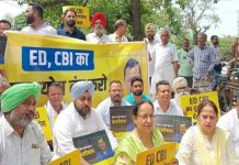 केजरीवाल की गिरफ्तारी के खिलाफ जालंधर में आप नेताओं ने फूंका मोदी का पुतला