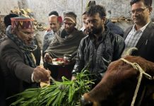 सेवा कार्य और सादगी से मनाया विधानसभा अध्यक्ष देवनानी का जन्मदिन