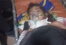 बाराबंकी में 6 साल की बालिका को आवारा कुत्तों ने नोंचा, मौत