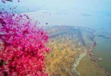 महाकुंभ : महाशिवरात्रि पर त्रिवेणी में भारतीय संस्कृति के रंगों का संगम