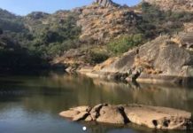 माउंट आबू के ट्रेवर टैंक में वर्चस्व के संघर्ष में मगरमच्छ ने गंवाई जान