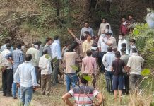 चित्तौड़गढ़ में मगरमच्छ ने भैंस एवं चरवाहे को बनाया शिकार