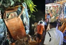 आंध्र प्रदेश के अन्नामैया में आम लदी लॉरी पलटने से 9 लोगों की मौत