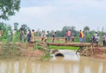 छत्तीसगढ़ : मोहला-मानपुर में आदिवासी ग्रामीणों ने बनाया देसी पुल