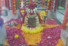 नागर ब्राह्मण समाज के 21 जोड़ों ने किया पार्थिव रुद्राभिषेक