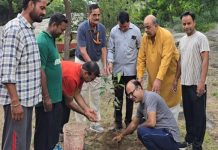 सिन्धुपति महाराजा महाराजा दाहरसेन स्मारक पर पौधारोपण