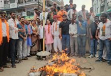 भाजपा ने किया प्रदर्शन, फूंका राहुल गांधी का पुतला