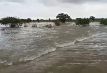 बयाना : नदी में गिरे जेसीबी चालक और 4 महिलाओं को ग्रामीणों ने बचाया