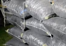 भीलवाड़ा में कार से 215 किलो अफीम डोडा चूरा बरामद