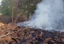 डीग में उपले के बिटोरा में महिला की जिंदा जलाकर हत्या