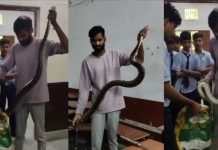 कोरबा में कक्षा में मिला विशाल अजगर, घर के तबेले में निकला जहरीला नाग