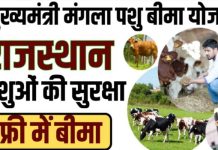 मंगला पशु बीमा योजना वर्ष 2025-2026 के लिए रजिस्ट्रेशन प्रारंभ