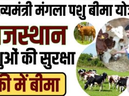 मंगला पशु बीमा योजना वर्ष 2025-2026 के लिए रजिस्ट्रेशन प्रारंभ