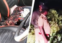 कोयंबटूर एयरपोर्ट के पास कॉलेज छात्रा से गैंगरेप, तीनों आरोपी अरेस्ट