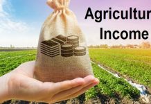 एक सीमा से अधिक कृषि भूमि के मालिकों के लिए आयकर रिर्टन अनिवार्य करने की सिफारिश