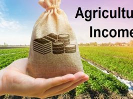 एक सीमा से अधिक कृषि भूमि के मालिकों के लिए आयकर रिर्टन अनिवार्य करने की सिफारिश