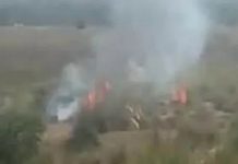 भरतपुर में बाणगंगा नदी के एक किलोमीटर चारागाह में आग लगी