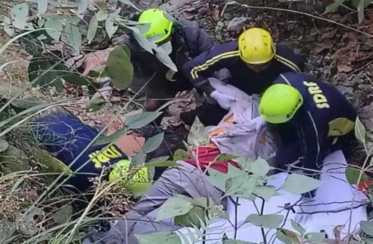 उत्तराखंड के चंपावत में बोलेरो खाई में गिरने से 5 बारातियों की मौत