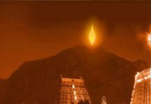 बारिश को चुनौती देते हुए अन्नामलाई पहाड़ी पर कार्तिगई महादीपम के साक्षी बने लाखों श्रद्धालु