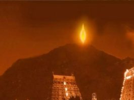 बारिश को चुनौती देते हुए अन्नामलाई पहाड़ी पर कार्तिगई महादीपम के साक्षी बने लाखों श्रद्धालु