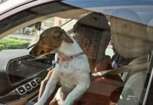 रेणुका चौधरी का बयान संसद में काम करने वाले सभी लोगों का अपमान : भाजपा