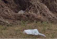 वाराणसी में अवैध संबंधों के चलते पति ने की पत्नी की हत्या