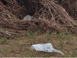 वाराणसी में अवैध संबंधों के चलते पति ने की पत्नी की हत्या