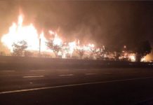 मथुरा में कोहरे के कारण बसें-कारें टकराईं, 13 की मौत, 56 घायल