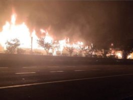 मथुरा में कोहरे के कारण बसें-कारें टकराईं, 13 की मौत, 56 घायल