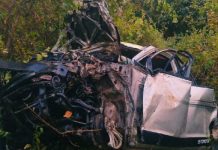 महाराष्ट्र के नासिक में कार खाई में गिरने से 6 की मौत, एक घायल