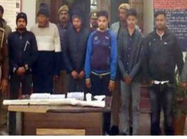 प्रयागराज : पार्टी करने के लिए मार दी नील गाय, पुलिस ने सात को किया अरेस्ट