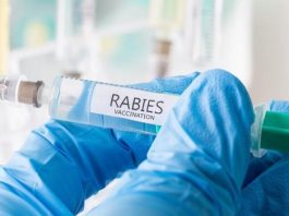रेबीज वैक्सीन अभयरैब पुरी तरह सुरक्षित : आईआईएल