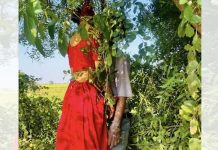 मुरैना में शादी से कुछ घंटे पहले युवती ने प्रेमी संग की सुसाइड