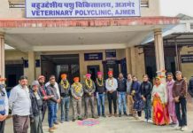 पशुपालकों ने किया उत्कृष्ट सेवाएं देने वाले पशुचिकित्सकों का बहुमान