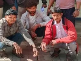 गैंगरेप से दहला बैतूल, डर के साए में युवती ने तवा पुल से लगाई छलांग