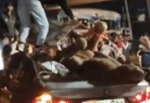 भीलवाड़ा के आसींद में ऊंट से टकराने से कार चालक की मौत