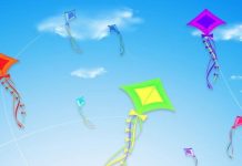 मकर संक्रांति पर आनासागर पाथवे चौपाटी पर होगी पतंगबाजी