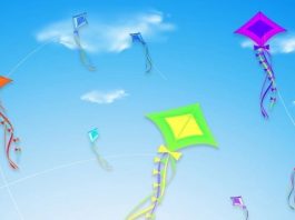 मकर संक्रांति पर आनासागर पाथवे चौपाटी पर होगी पतंगबाजी