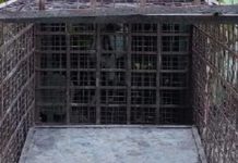 सवाई माधोपुर के आबादी क्षेत्र में आए तेंदुए को पकड़ने के लिए पिंजरा लगाया