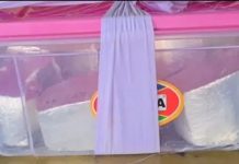 हनुमानगढ़ में कार में रखी 50 लाख रुपए की 15 किलो चांदी बरामद