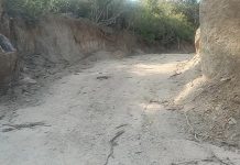 एक साल में माउंट आबू ESZ में टनों चट्टानें निगल ली, कई पेड़ उखाड़े