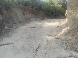 एक साल में माउंट आबू ESZ में टनों चट्टानें निगल ली, कई पेड़ उखाड़े